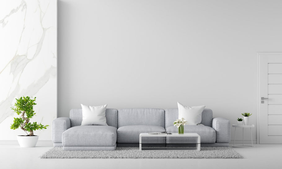 DESCUBRE MAS SOBRE NUESTROS PRODUCTOS